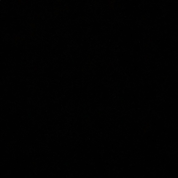 Meet your Posher, Cooper - Picture 1 of 1